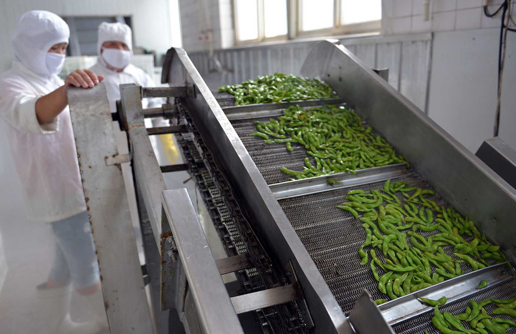 智能凈菜包裝機(jī)，引領(lǐng)健康生活潮流——揭秘高效包裝新科技