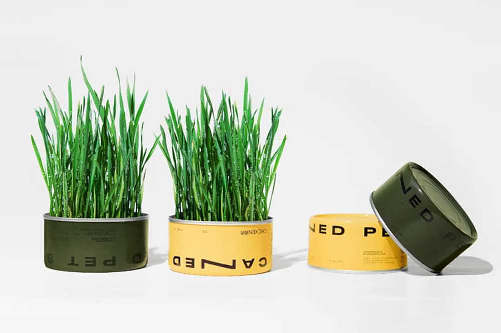 智造綠色活力，賦能高效未來——呂工機械全自動杯裝貓草生產(chǎn)線